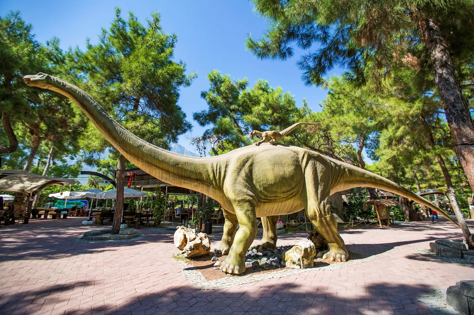Dino Park